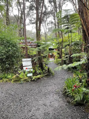 Volcano Village Lodge