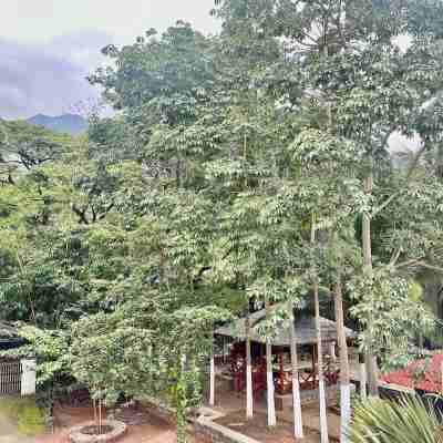 Bamboo Nest Hotel Exterior