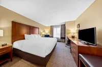 Comfort Inn & Suites West - Medical Center Hôtels à : Rochester