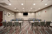 Homewood Suites by Hilton Novi Detroit Hotels in Нові