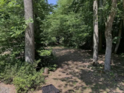 Tiny Home only 1 mile to Vogel State Park!  Wandering Wood at the Reece Farm Vlg