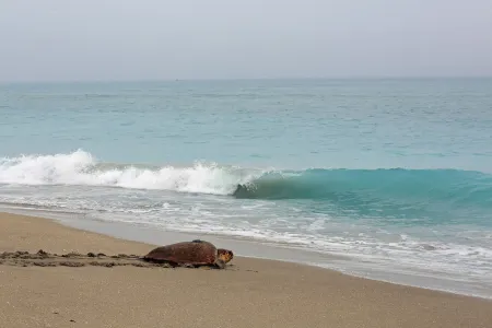 PGA National Home. Fountain Views.