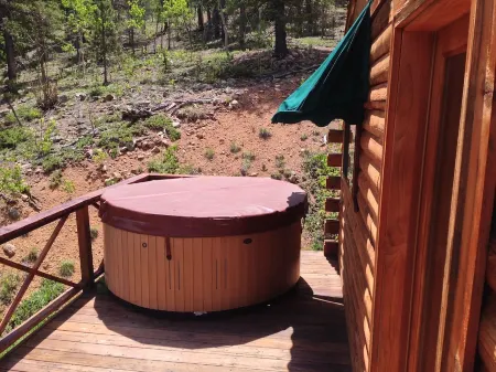 Deer Creek Cabin - a Log Cabin in the Rockies of Colorado!
