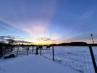 Adorable apartment close to Traverse City in a beautiful farm setting