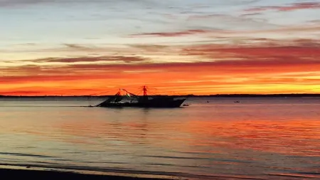 Sandy Toes!  King Bed - Newly Renovated - Clean Отели рядом с достопримечательностью «Cockspur Island Lighthouse»