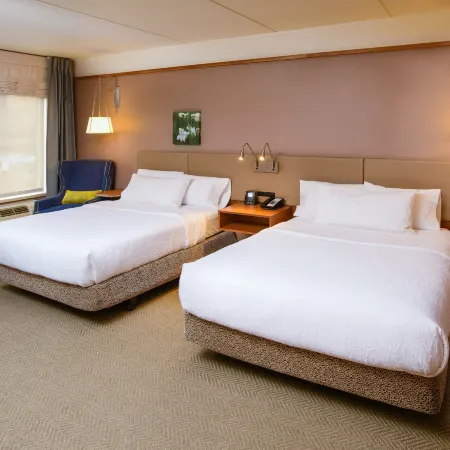 Hilton Garden Inn Rochester Downtown