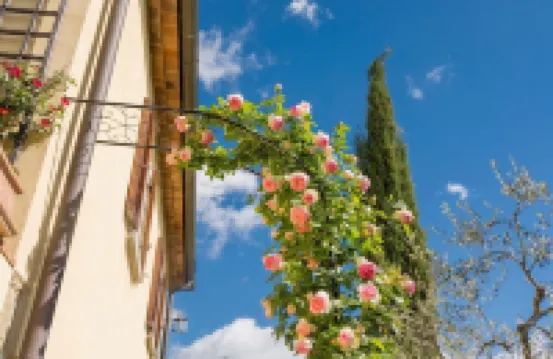 Old farmhouse surrounded by olive groves and near the village, max 2 adults, with pool