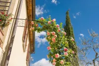 Old farmhouse surrounded by olive groves, near the village, 5 places, first floor, swimming pool