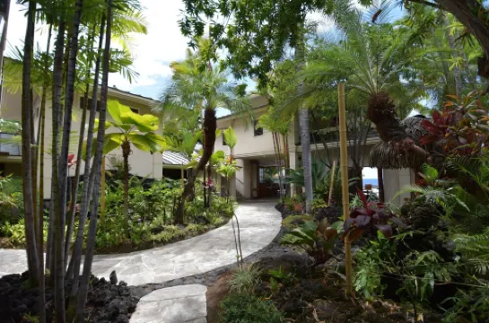 Exotic Kona Bay Hawaii Beachfront Tropical Paradise Stunning Home.