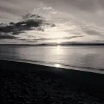 Shore beats working