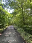 A Spacious Family and Pet Friendly House with Large Garden and Free Parking
