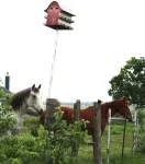 Countryside Farmhouse, backporch breezes, hillside views, and in Walburg!