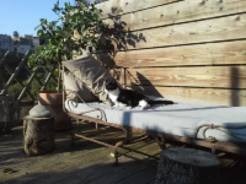 VILLA, 55 m2, BIOT, 4 / 6Pers, south-facing wooden terrace, swimming pool in private domain Hotels in Biot