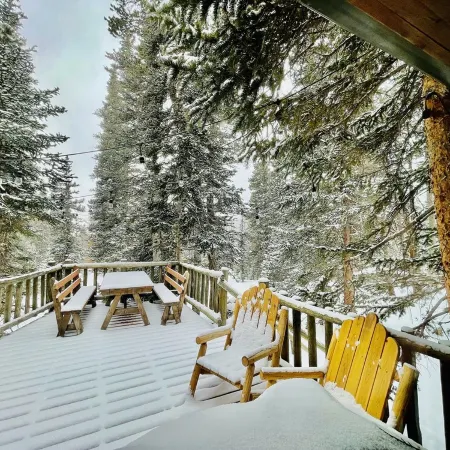 3 BR Mountain Log Cabin at St. Mary's Glacier