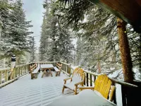 3 BR Mountain Log Cabin at St. Mary's Glacier