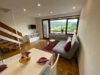 Vacation apartment Schwarzwaldblick in Lenzkirch (incl. HSC) Hotels in Lenzkirch