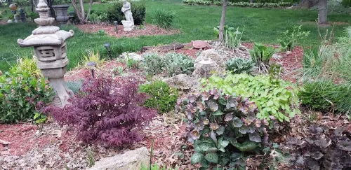 Cozy older home,  zen like garden. Pet friendly. Not for people with allergies.