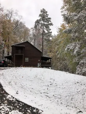 Bears housing relax.