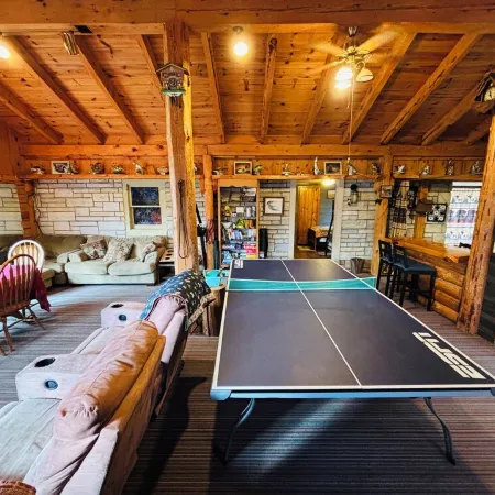 Lake front cabin on the Eagle River chain. Pet friendly. Pontoon for rent.