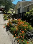 "Guest Favorite" Cottage Near Sequoia, Private EV Charger, Fireplace, Ammenities