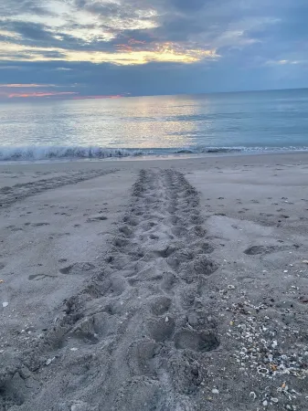 Newly renovated spacious 4BR home with pool & game room, 800m from the Beach