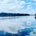 St. Johns River Cabin (Pet Friendly)