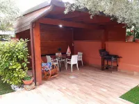 The house of olive trees