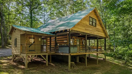 Christmas in Dixie it’s Snowing in the Pines on Lookout Mtn! Hot Tub,Fire-Pit;