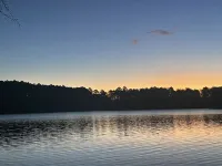 Unique lakefront 3 BR cabin directly on Lake Hartwell! 20 min drive to Clemson!