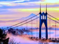 One Mississippi Ave - Adventures in Portland!