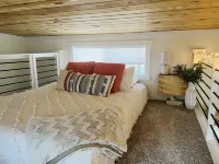 Sunny Treetop Tiny Home! Beautiful Pikes Peak View!