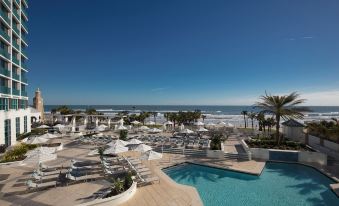 3. Hilton D..