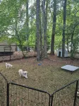 Fishing & Fun!FamiLee Lakehouse Retreat DogFriendly w-HotTub & BoatDock