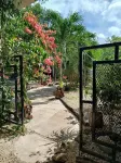 Casa Otilia - Hospedaje