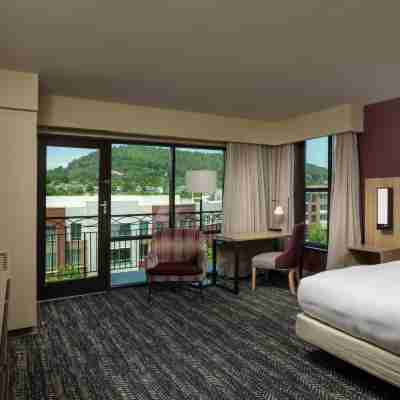 阿什維爾比爾特莫爾公園希爾頓酒店 Rooms