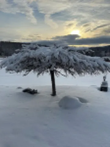 Cozy cabin. Boyne Falls, MI. Pet friendly. Sleeps 10. Full amenities. Views.