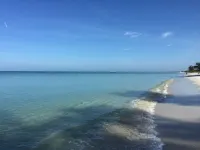 Naples Pool Home, Walk to Vanderbilt Beach & Mercato