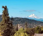 Casa Roja - Mt Hood view townhome in the heart of White Salmon