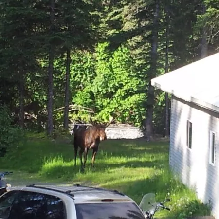 Tiehacker Lodging is the perfect place to relax and enjoy the beauty of Alaska!