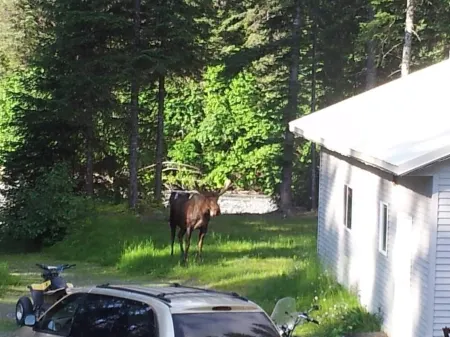 Tiehacker Lodging is the perfect place to relax and enjoy the beauty of Alaska!