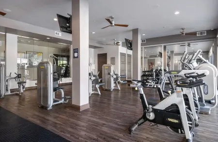 Fully Furnished Apartment in Addison, walking distance to great Restaurants