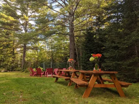 Incredible Riverside Getaway in the White Mountains - Central Location Отели в г. Карролл