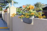RH Boutique Hotel Aruba Hotels in Oranjestad