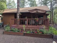 Garden Cabin with Fenced Yard and AC