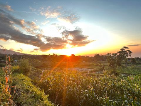 숙소 외부 전경