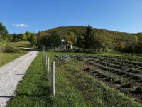 Ajda lavander apartment in Mutilić, Croatia - 2 Bedroom Apartment - 公寓