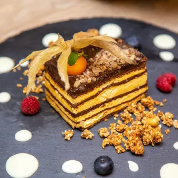 Palmetto Hotel Business San Borja