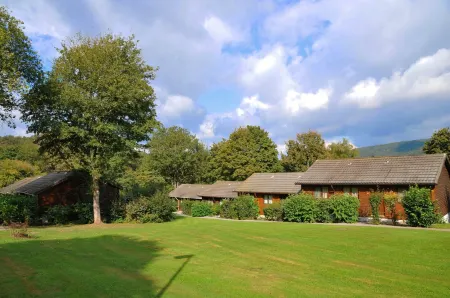 Bungalow in Belgium Near Green Hills