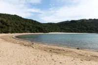Apartments Limuni - Homestays