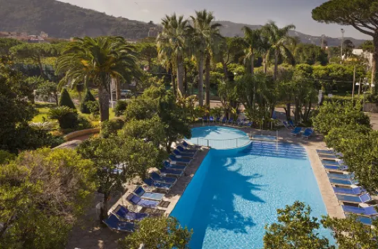 Hotel Alpha